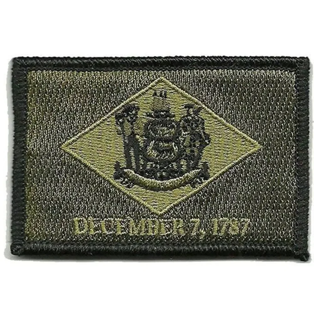 BuckUp Tactical Morale Patch Hook Delaware Dover State Patches 3x2